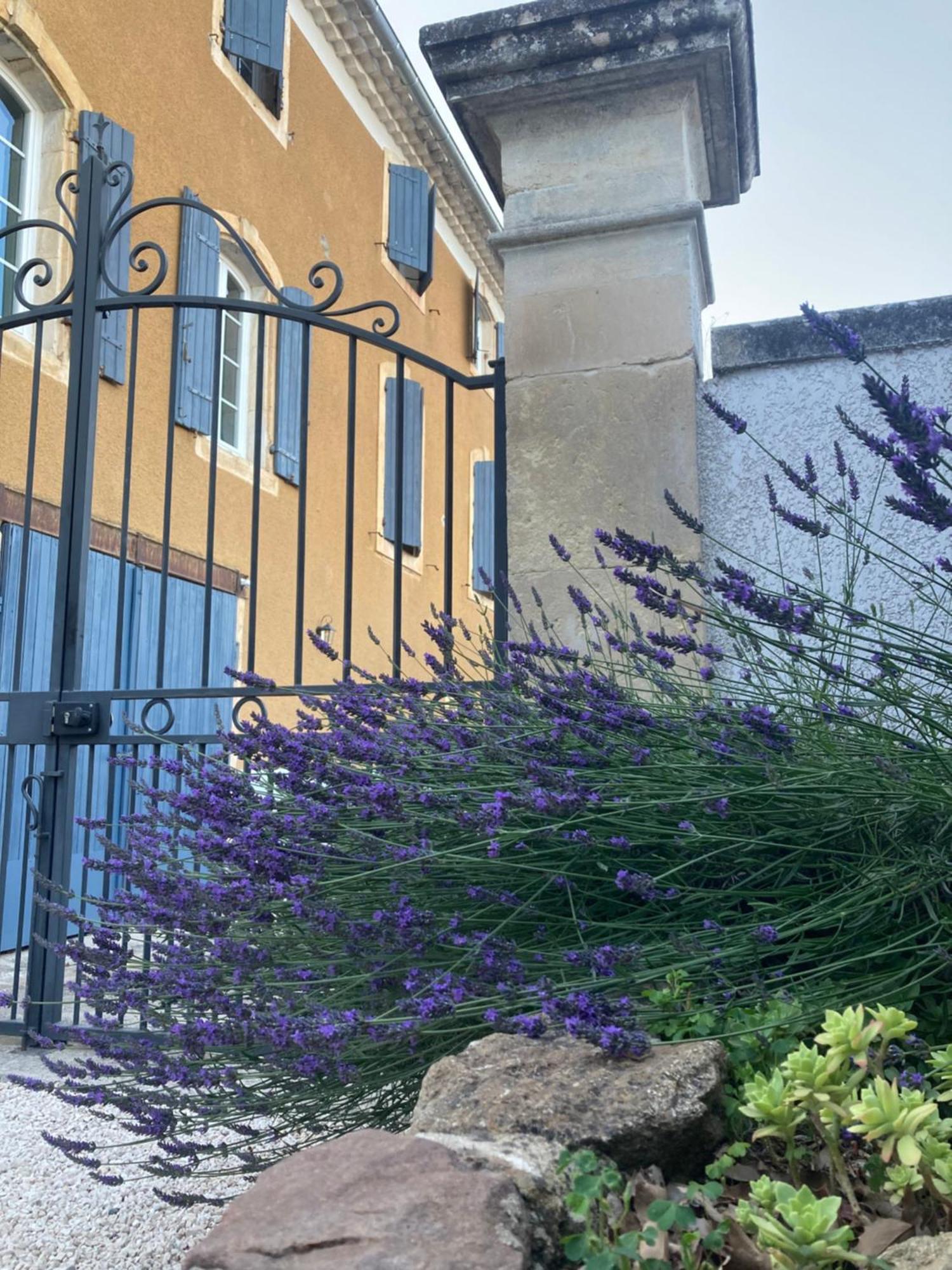 Domaine Forvent Bed & Breakfast Saint-Julien-de-Peyrolas Exterior photo